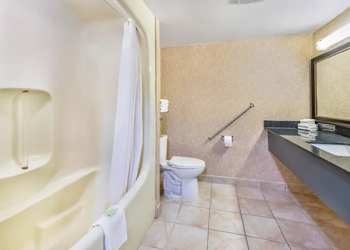 Pet Friendly hotel: Rodeway Inn Festival