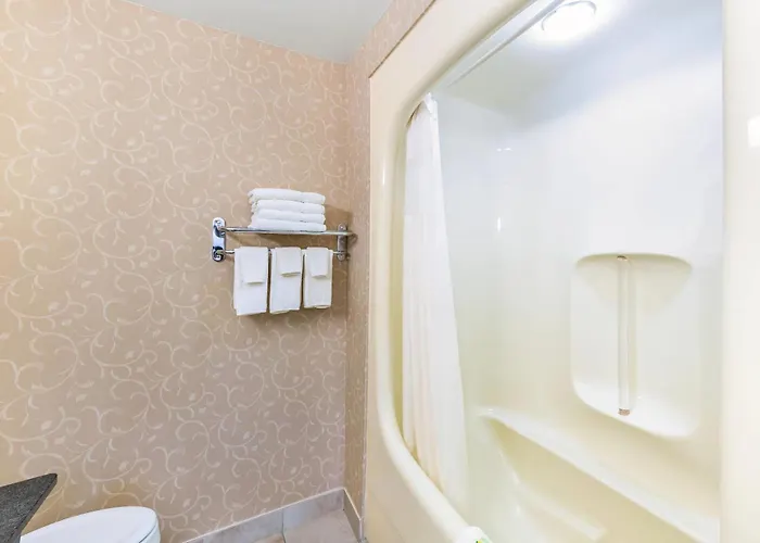 Pet Friendly hotel: Rodeway Inn Festival